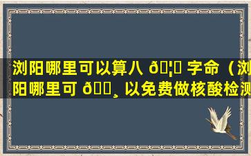 浏阳哪里可以算八 🦟 字命（浏阳哪里可 🌸 以免费做核酸检测）